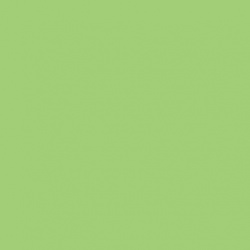 Eau De Nil Cockpit Green Tinned Paint